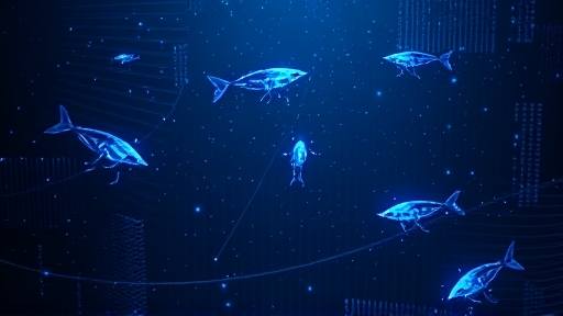 DeepSeek